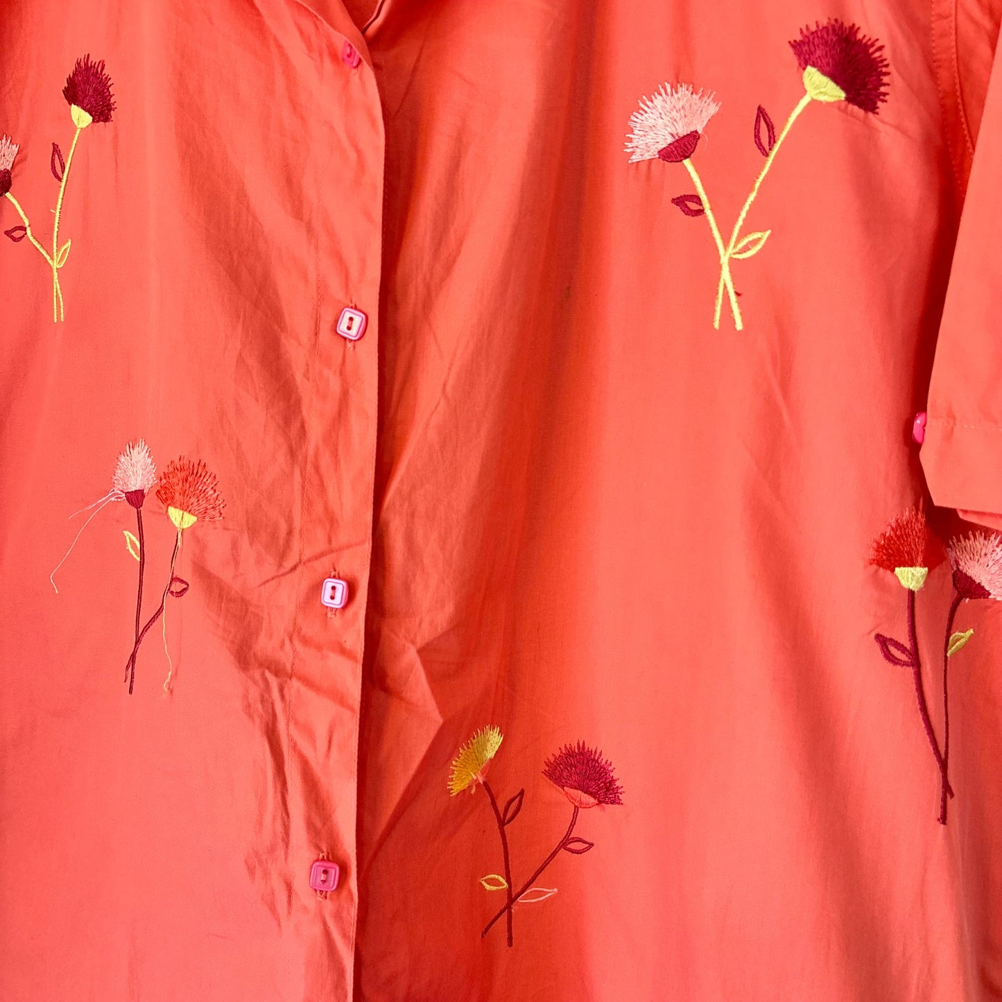 Petal Palm
