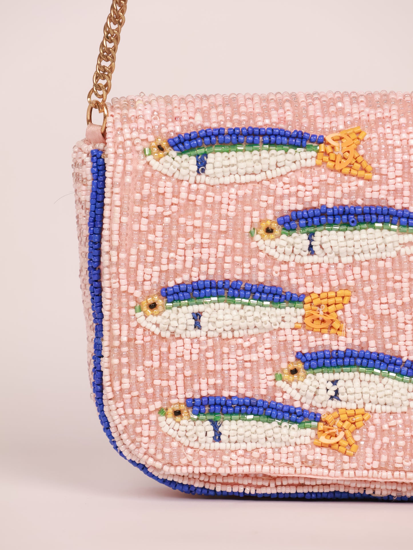 Sardine Fish