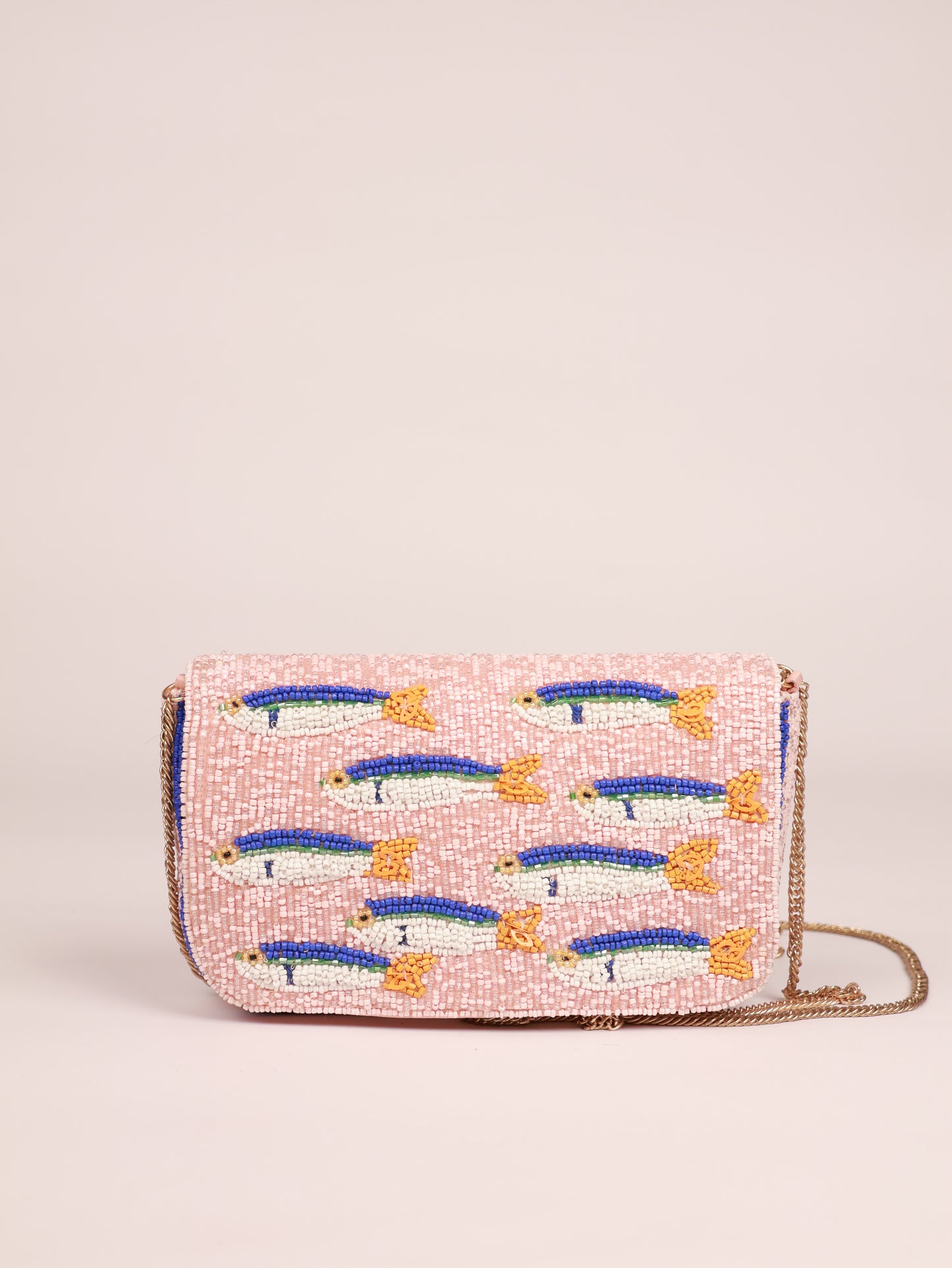 Sardine Fish