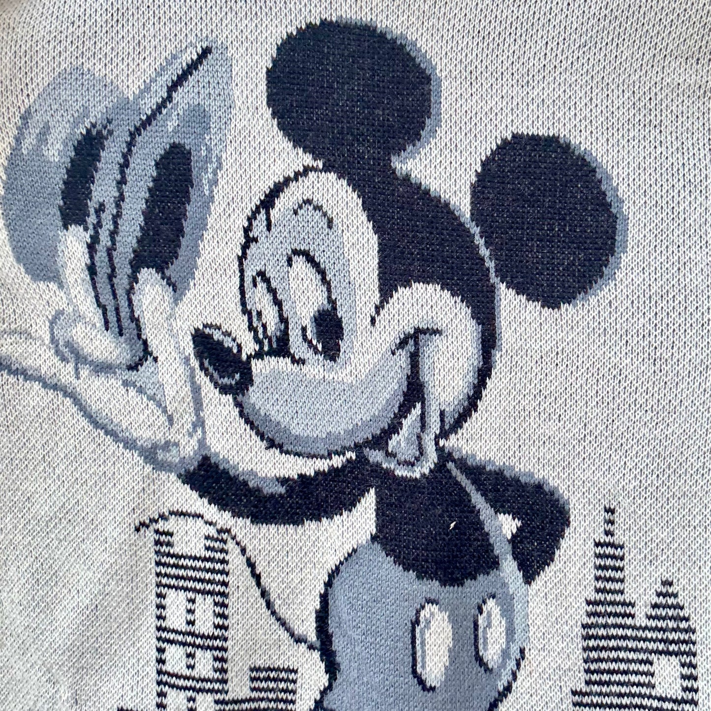 Mr. Mickey