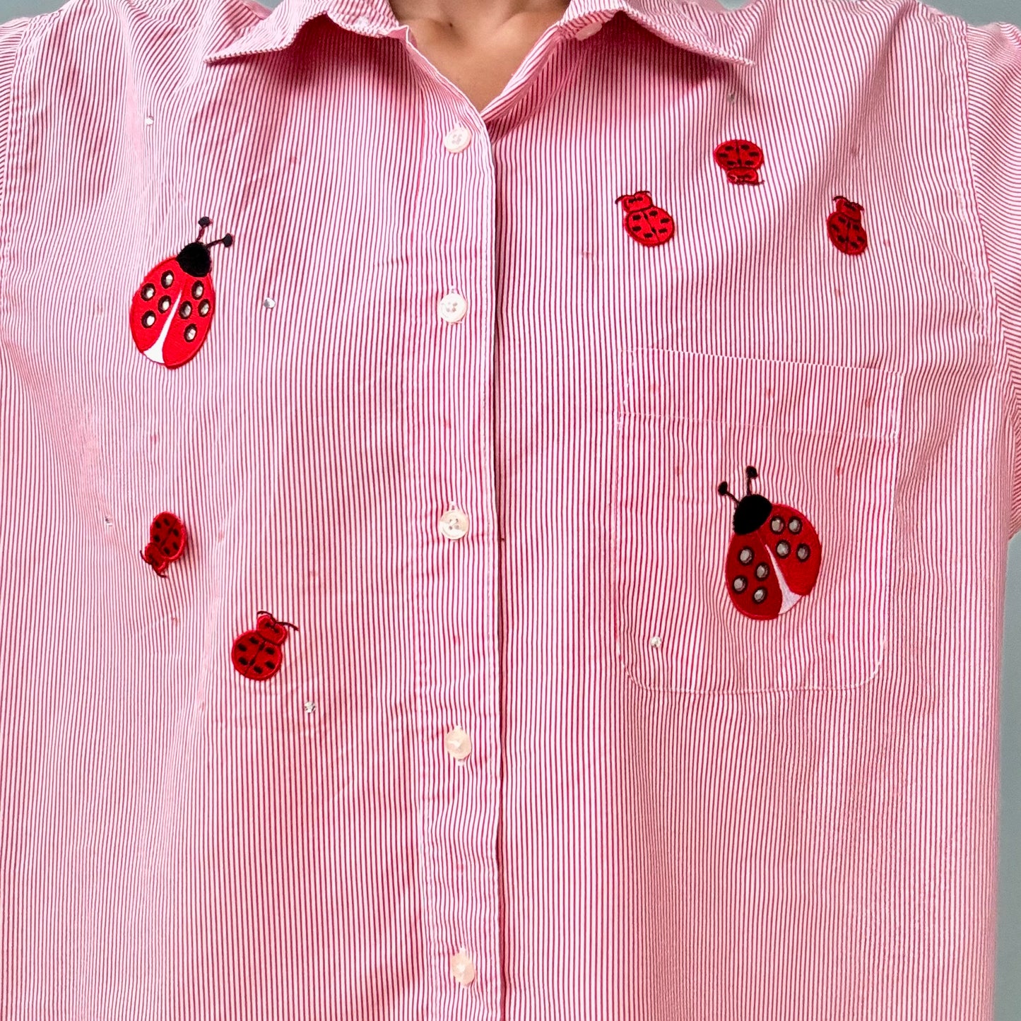 Ladybug Shirt