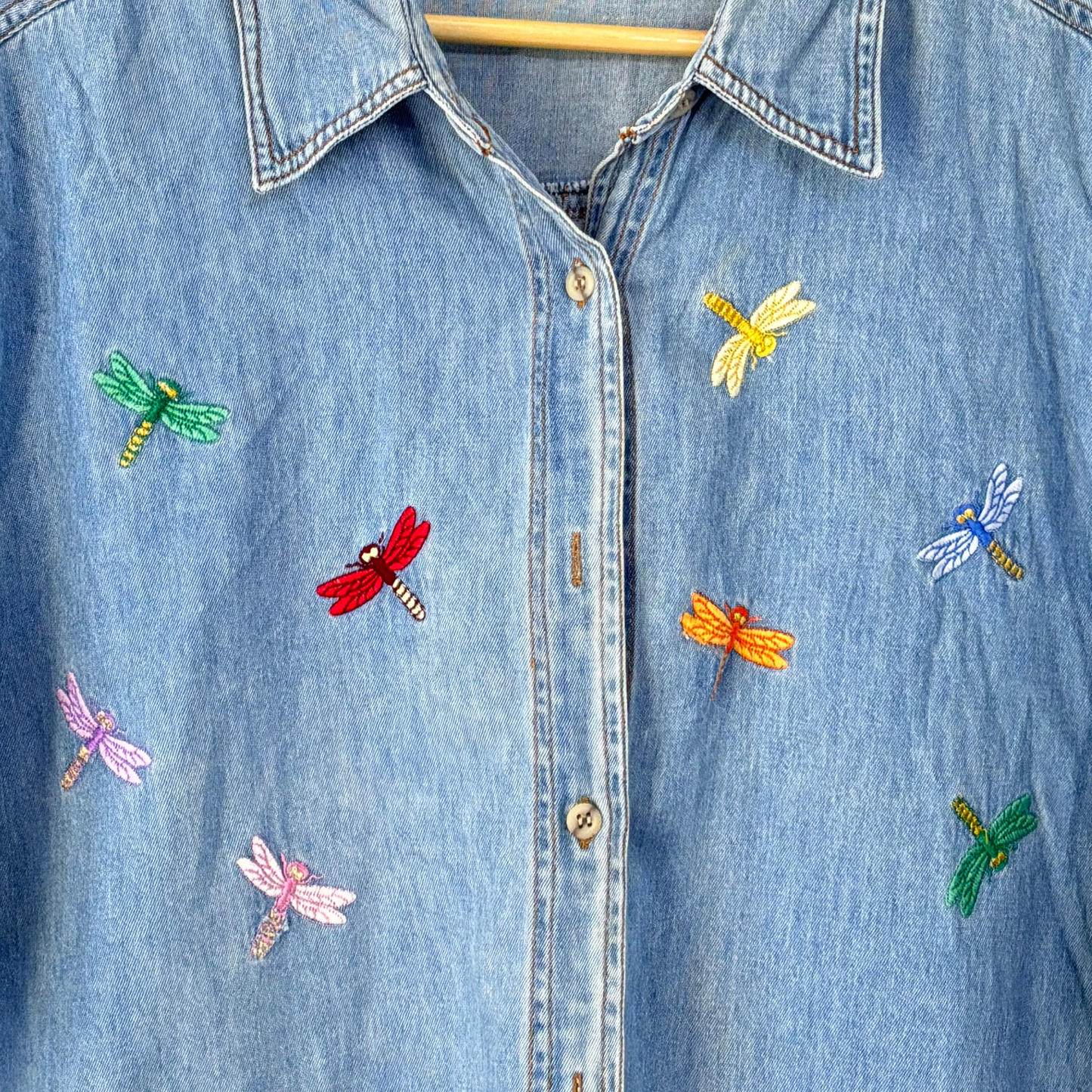 Dragonfly Denim
