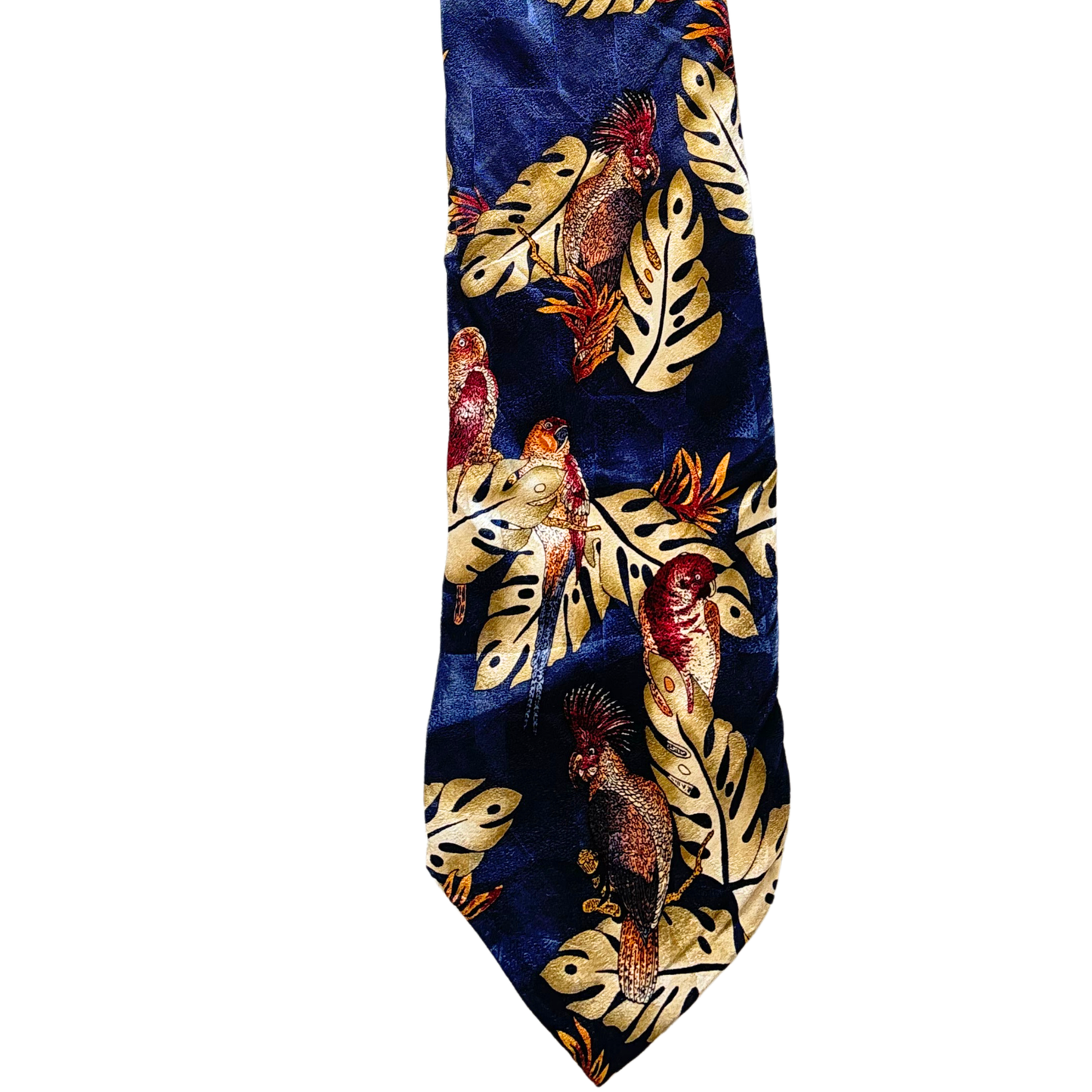Tropical Squawk